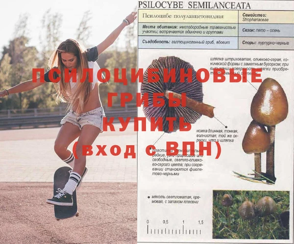 скорость Балахна