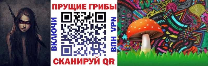 Галлюциногенные грибы MAGIC MUSHROOMS  даркнет формула  Новоалтайск  KRAKEN ONION 